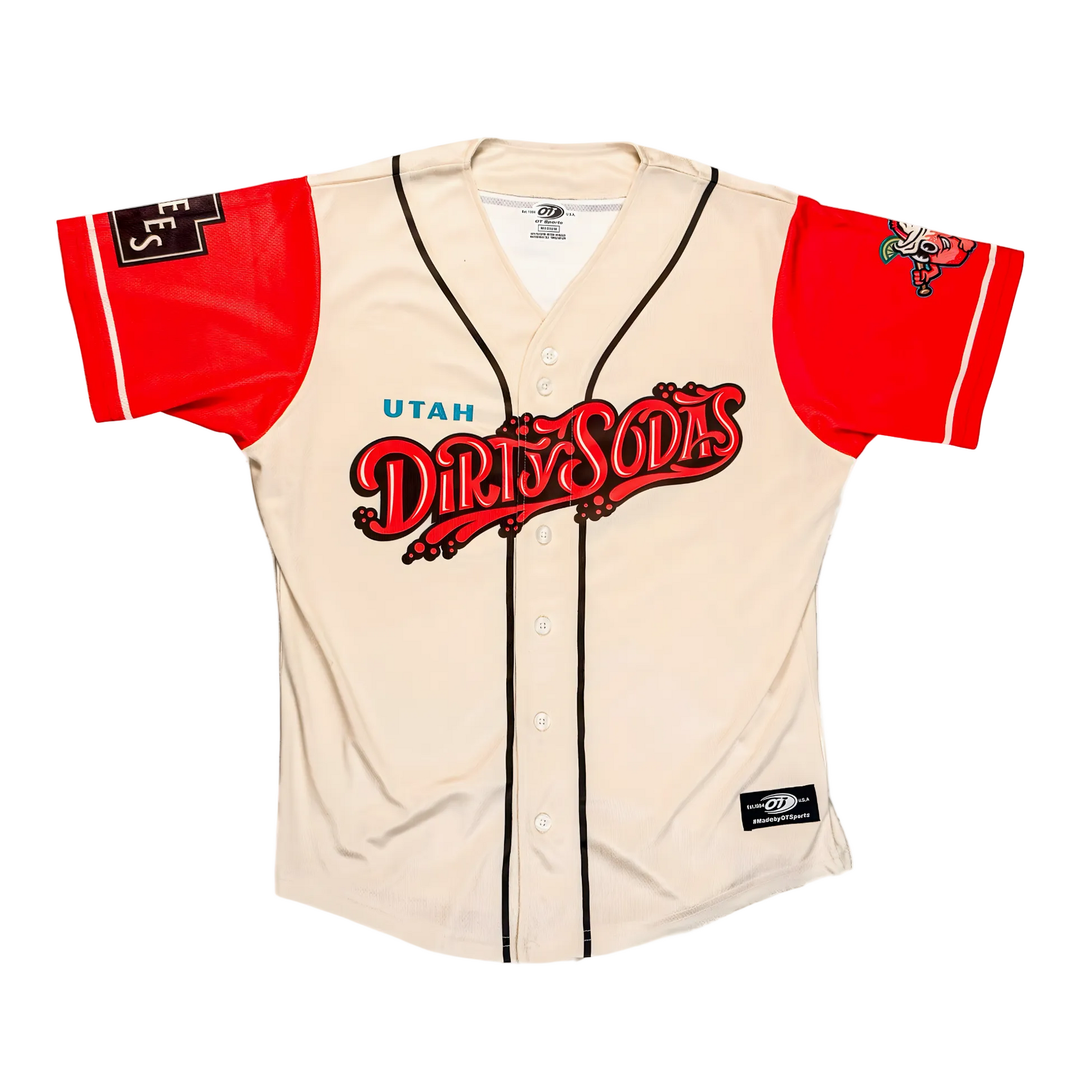 DSJERSEY.png?v=1771911110&