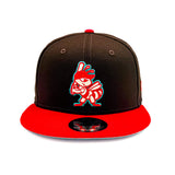 Salt Lake Bees Cola Brown New Era Dirty Soda Two Tone Bumble Snapback 950