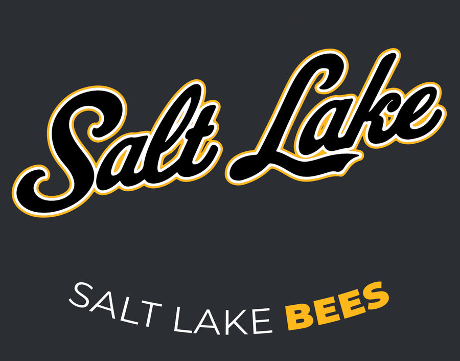Salt Lake Bees Black 108 Stitches Womens Drop Tail Hoodie